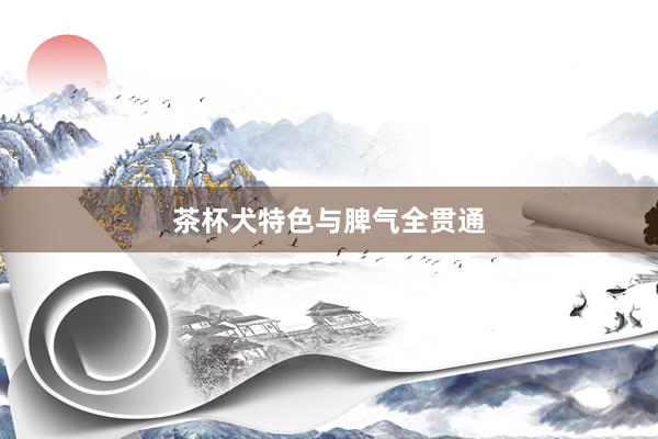 茶杯犬特色与脾气全贯通
